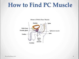 FAQ how to do kegel exercises for men