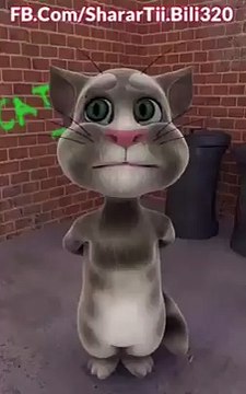 Talking Tom Cat Punjabi Billi Very Funny Video 2016