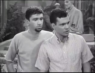 The Many Loves of Dobie Gillis Season 4 Episode 1 Strictly for the Birds