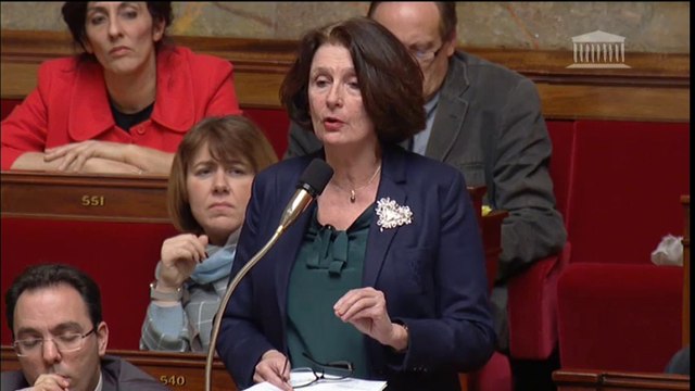 Ce n'est pas nous ces gens là ! Mon intervention dans le cadre du projet de loi constitutionnelle