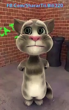 Talking Tom Cat Punjabi Billi Very Funny Video 2016