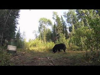 Indian Point Camps The Real Deal - Golidlocks and the 2 Bears