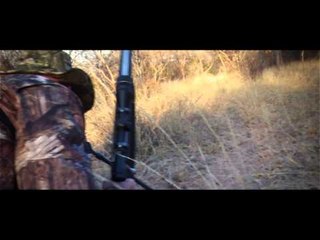 The Ultimate Pursuit  Africa - The Ultimate Pursuit  Africa