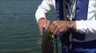 Canadian Sportfishing - Cold Water Bass Fishing
