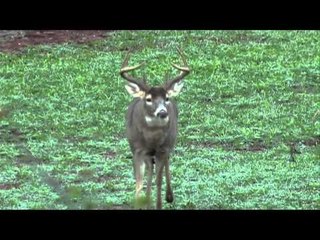 Realtree Outdoors - Georgia Hunting