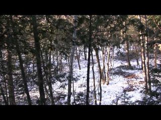 Born to Hunt Boys - Late Season Whitetail Hunting