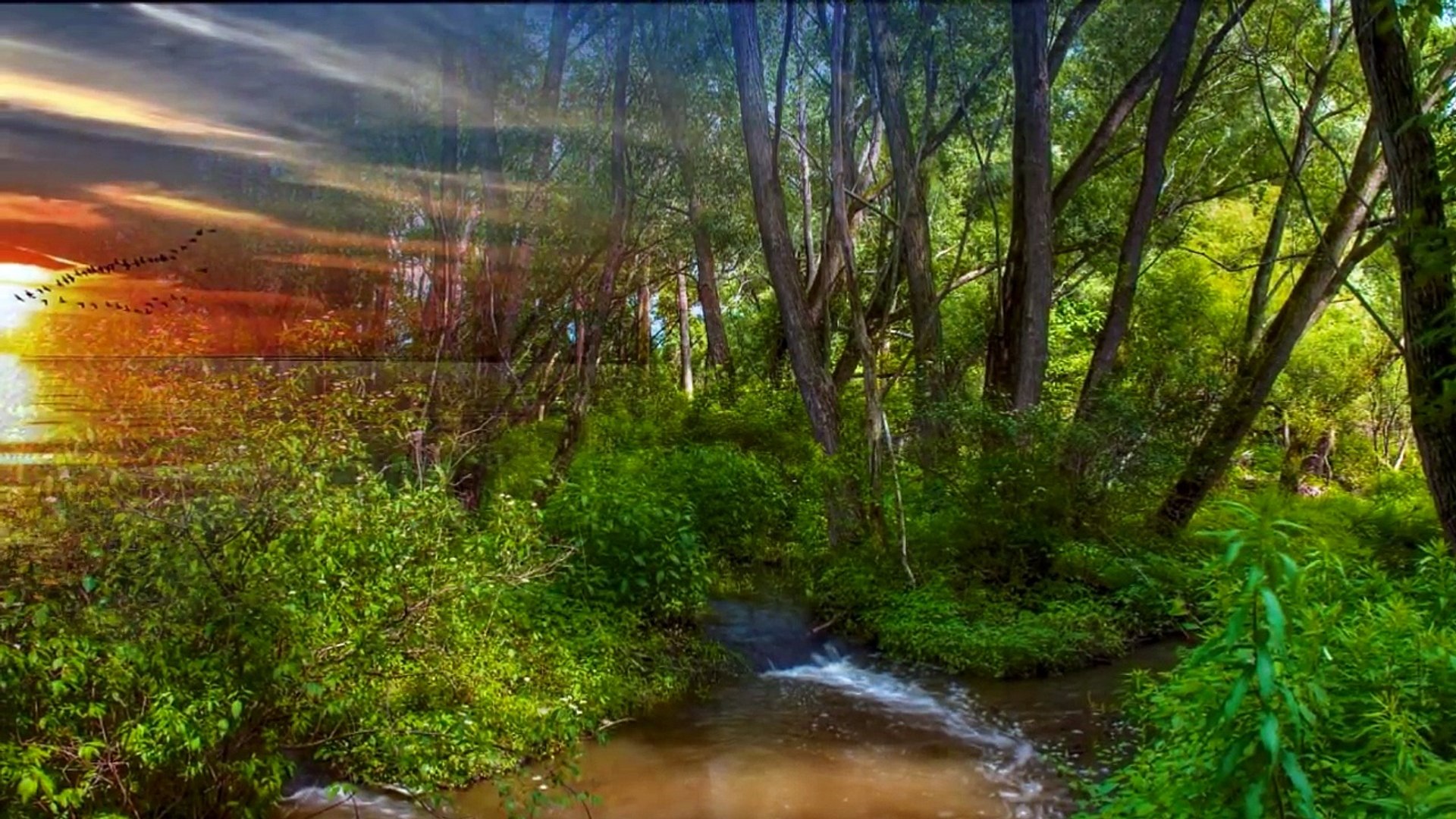 I Don T Want To Lose Your Love By John O Banion Video Dailymotion