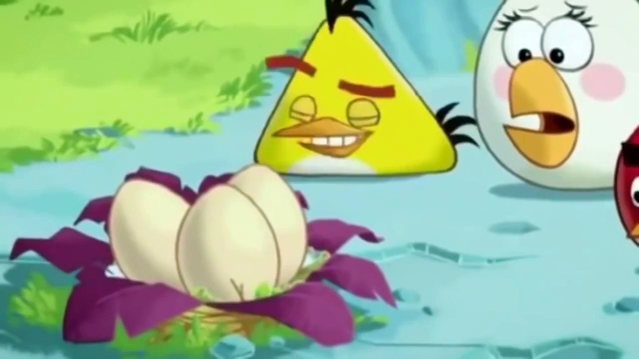 Angry Bird Full Episodes 2015 [HD 720] New Best Full Episodes in English Compilation