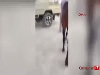 Aşırı şişman adamı at bile taşıyamadı