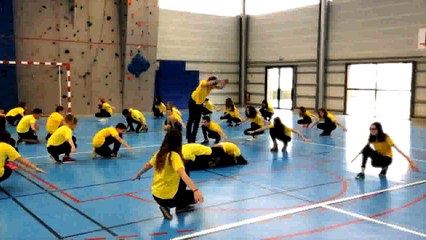 FLASHMOB EURO 2016 Collège Louis Pasteur (Saint-Mars-La-Jaille)