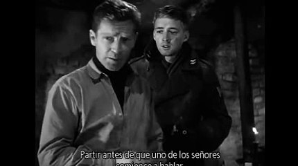 워커힐카지노【 KOP77。COM 】바카라시스템베팅