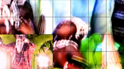 Carnaval Rio 2016: Magic and Colorful Parade 🎉