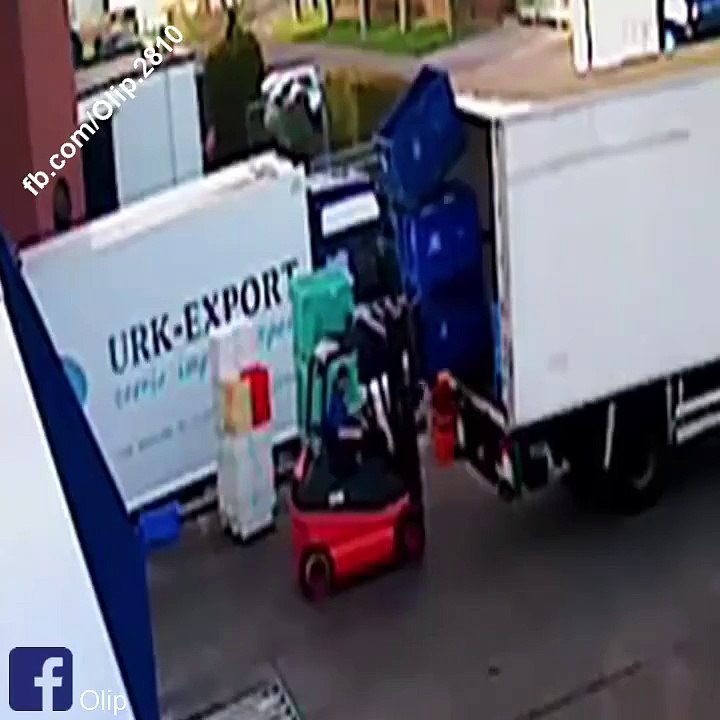 Funny videos collection.