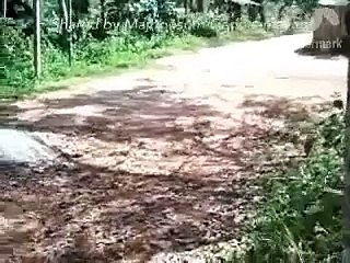 Most Funniest WhatsApp Videos