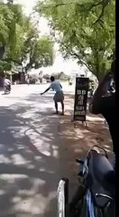 Most Funniest WhatsApp Videos