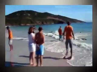 Он просто снимал море и пляж, как вдруг