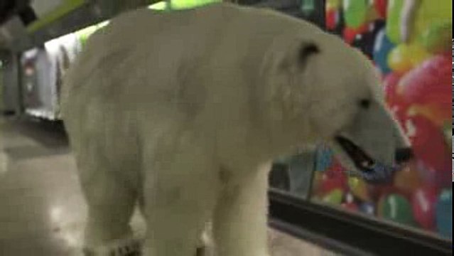 Giant polar bear spotted in Londonدب قطبي ضخم في لندن يهاجم
