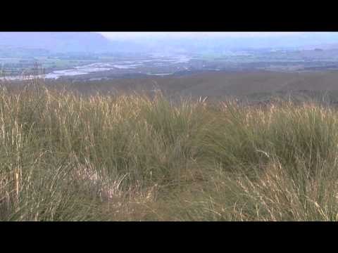 Outdoor Quest TV - New Zealand Red Stag