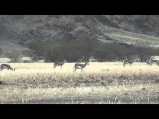 Outdoor Quest TV - Namibia Plains Game