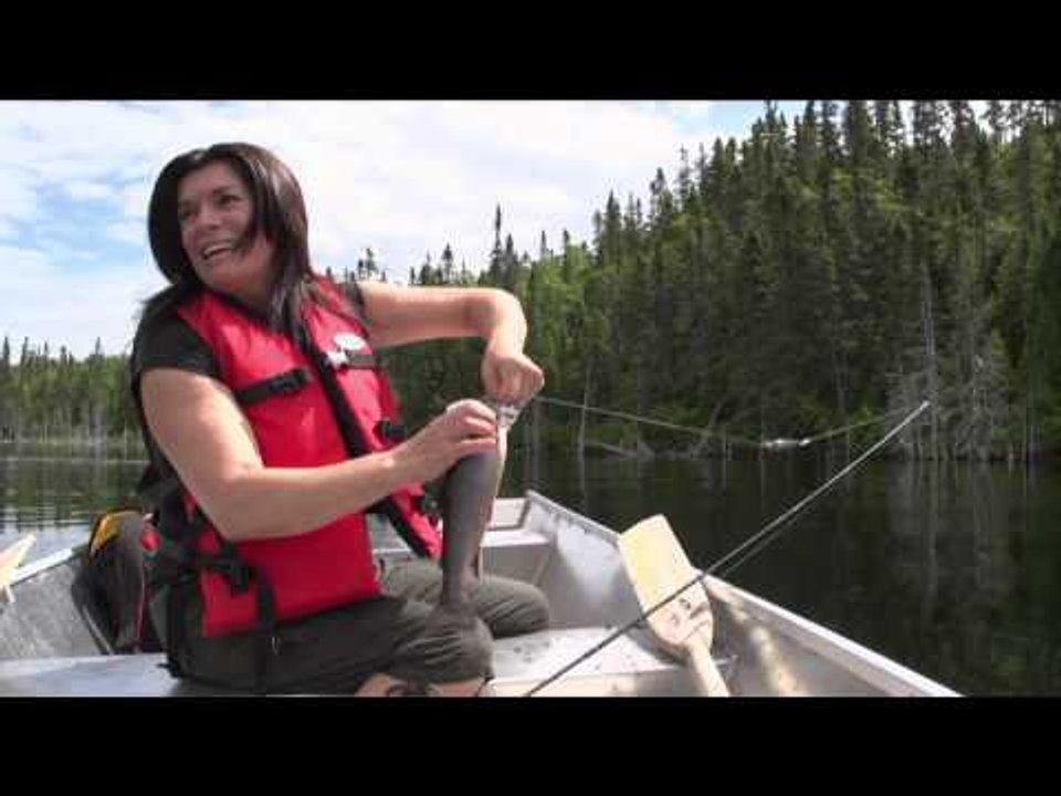 Quebec Outfitters Camp - Club lac des Sables et Paradis Outfitters