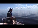 Canadian Sportfishing - Casting Spoons for Bluefish in Florida
