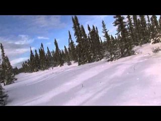 Trapping Inc - Lynx Season Wrap Up