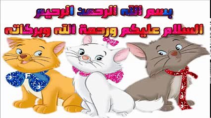 مقلب افغانية يموت من الضحك هههههههههه