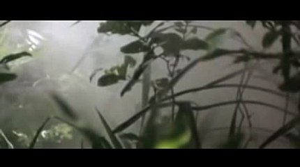 인터넷카지노【 KOP77。COM 】타짜기술