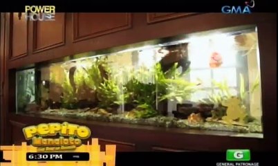 Power House February 10, 2016 Part 1 / Dailynewsportal.net