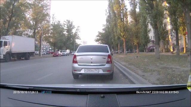 Голубь спровоцировал тройное ДТП