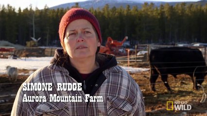 Force MDs - Itchin For A Scratch