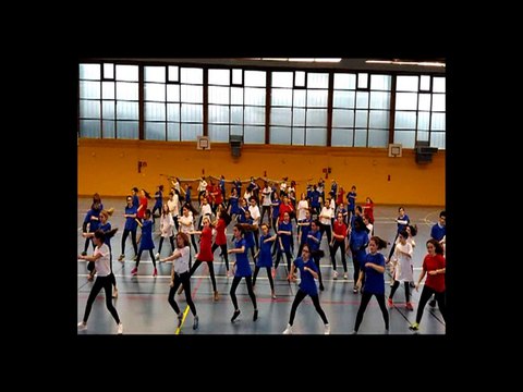 Vidéo Flashmob regroupement AS RENNES