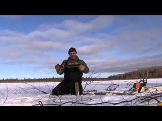 Trapping Inc - Winter Beaver