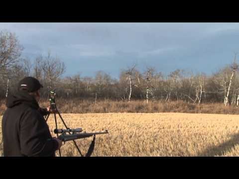 Outdoor Quest TV - Alberta Moose