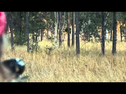 Jim Shockeys Hunting Adventures - The Most UnderRated Deer Hunting in the World Australia
