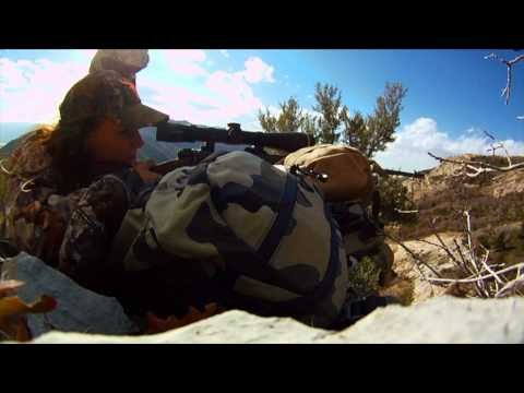 Where in the World is Colorado Buck - Sheridans Super 10