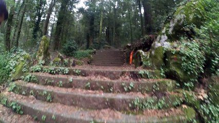 Trail Nossa Srª da Assunção - STUT 2016 - Santo Tirso