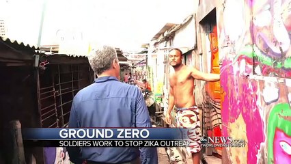 Desperate Fight Against the Zika Virus