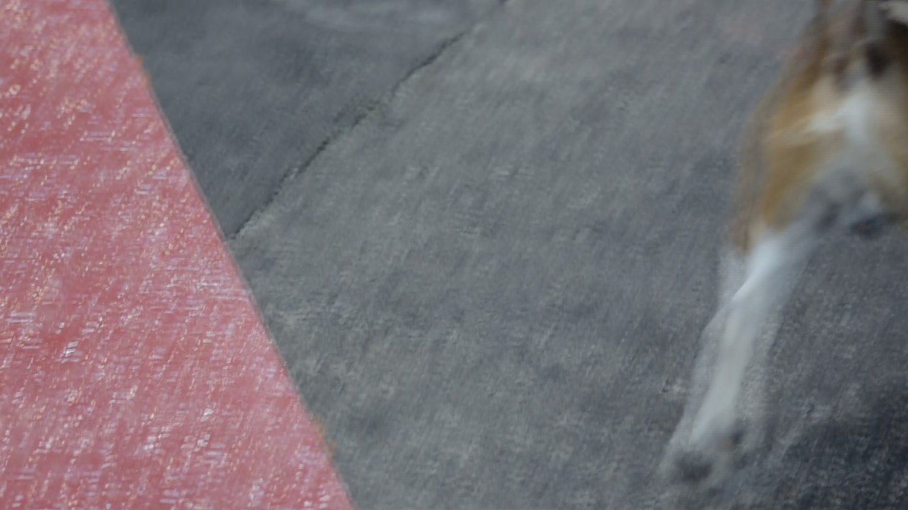 Little Angel Troyes 06.02.16  (5)