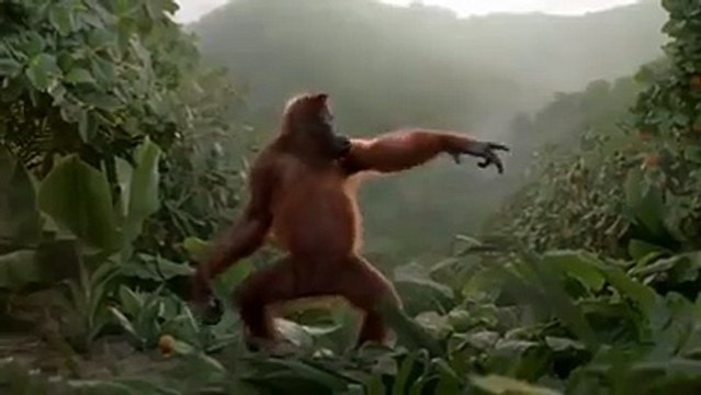 VID-20160111-WA0013.mp4