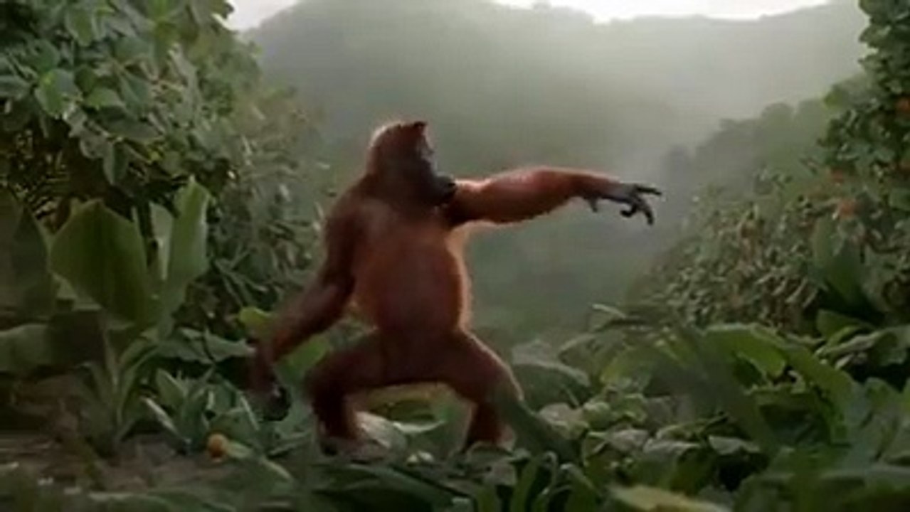 VID-20160111-WA0013.mp4