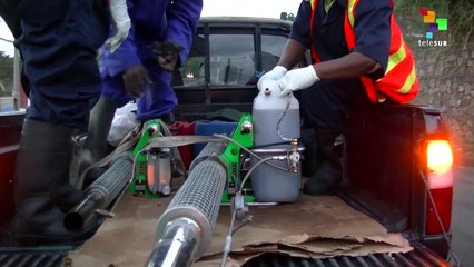 Caribbean Tackles Impacts of Zika Virus