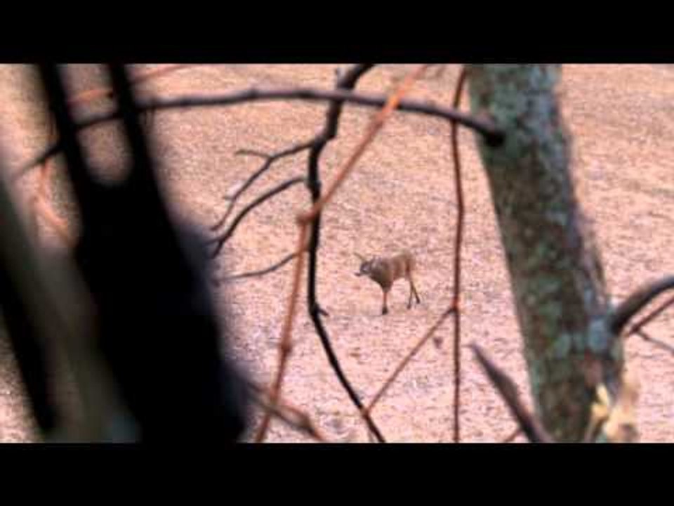 The Canadian Tradition - Hard Work Pays Off