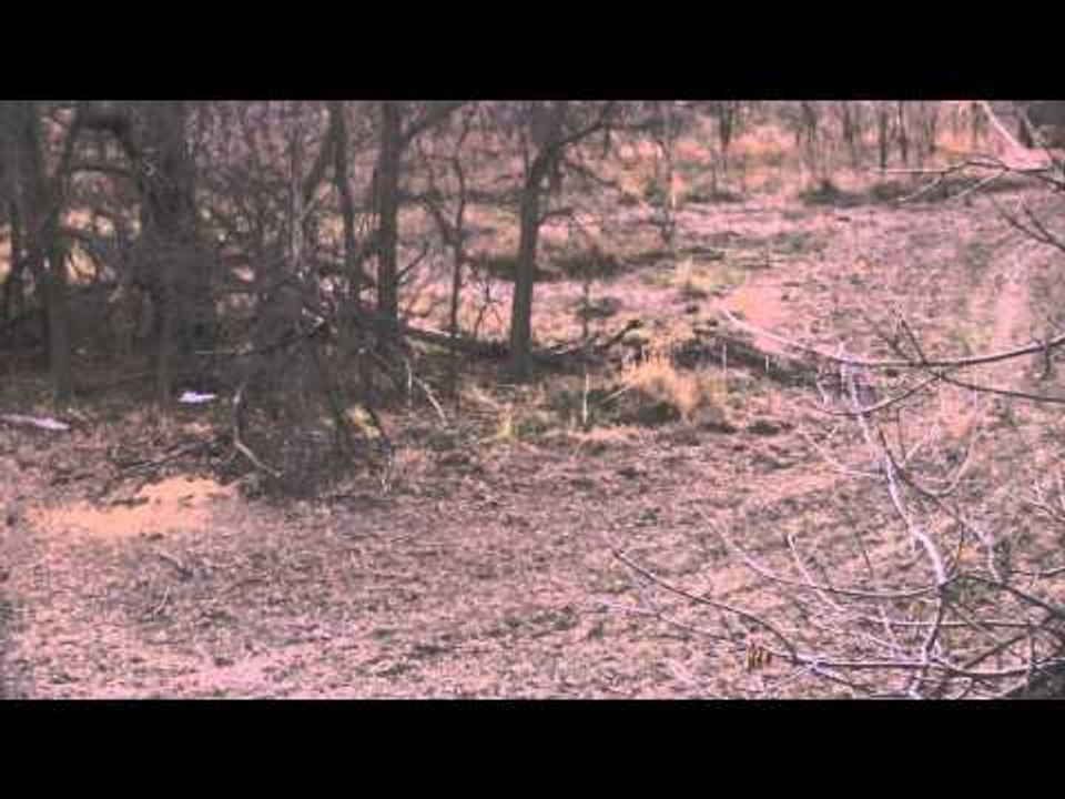 Mathews TV with Dave Watson - Kansas Whitetails and Alaskan Brown Bear