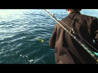 Sportfishing Adventures - Blue Sky Cabo Part 2