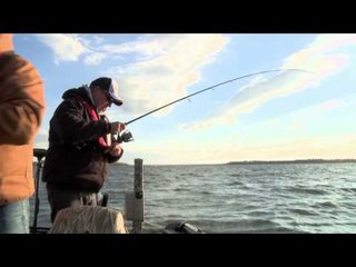 The Ultimate Fishing Experience - A Fall Free for All