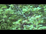 Easton Bowhunting TV - Quality Time in a Bear Stand