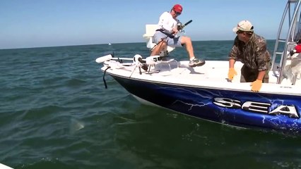 When Fish Attack Back Compilation | Crazy Fun Club