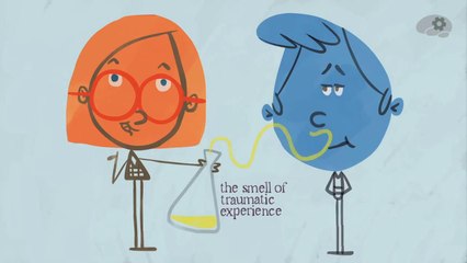 Как работает обоняние