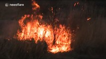 Child playing with fire on Chinese New Year burns down marshland